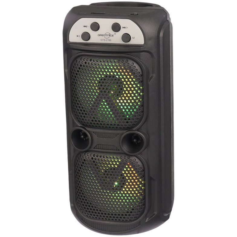 اسپیکر گریت نایس GTS2165