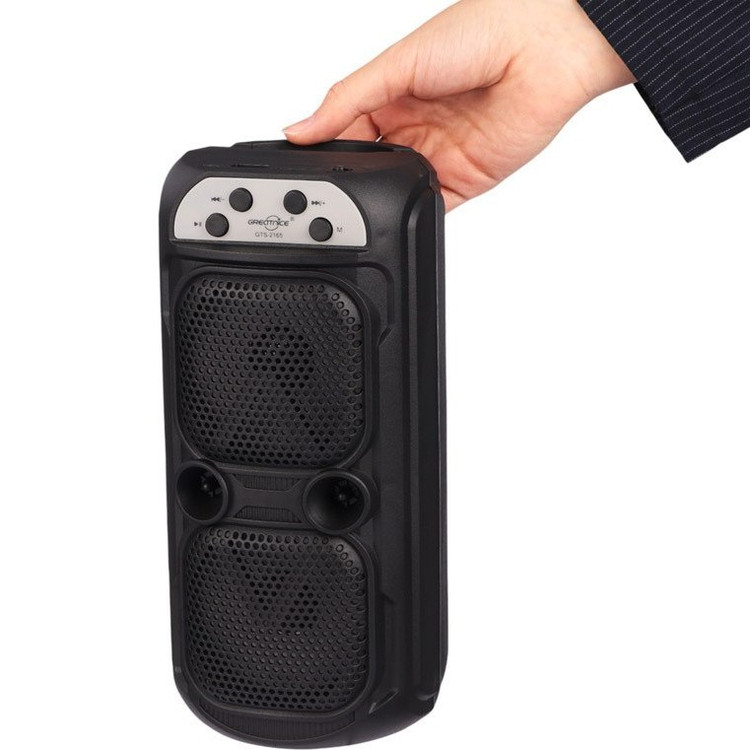 اسپیکر گریت نایس GTS2165
